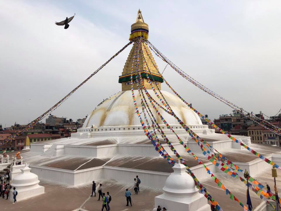 🚩 最新消息 2018/3/15，照片3/8