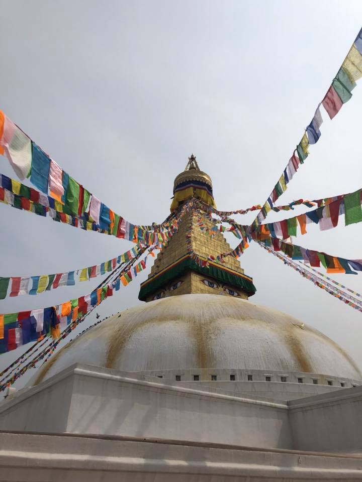 🚩 最新消息 2018/3/15，照片5/8