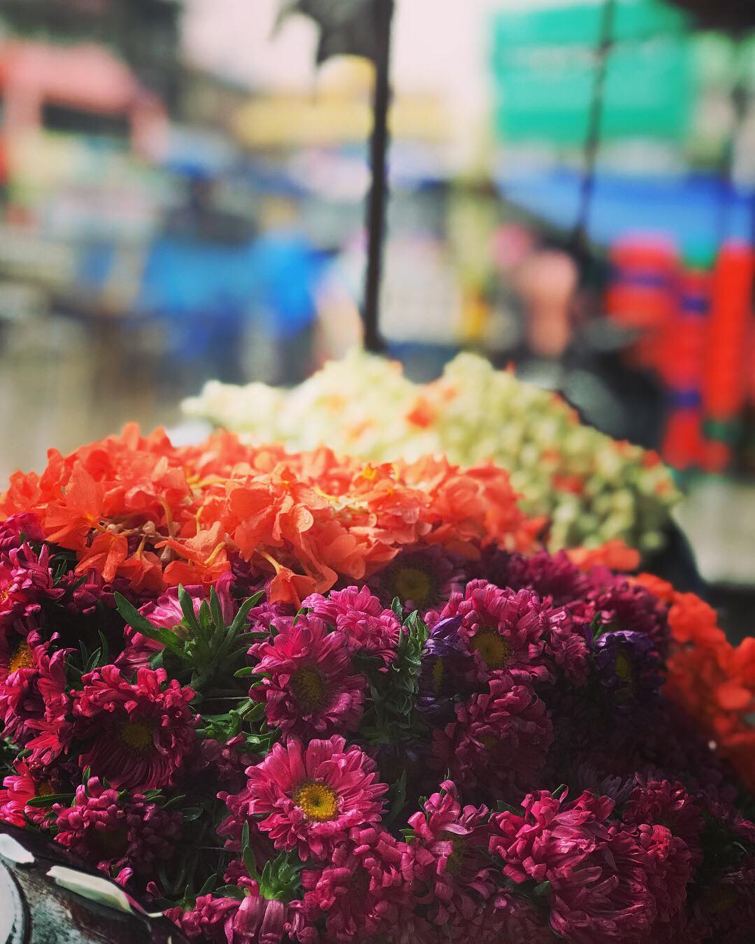 2018/4/26～5/5，印度聖地，照片3/29