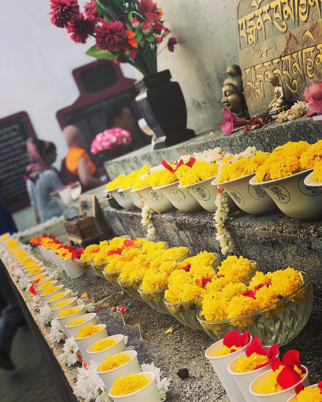 2018/4/26～5/5，印度聖地，照片4/29