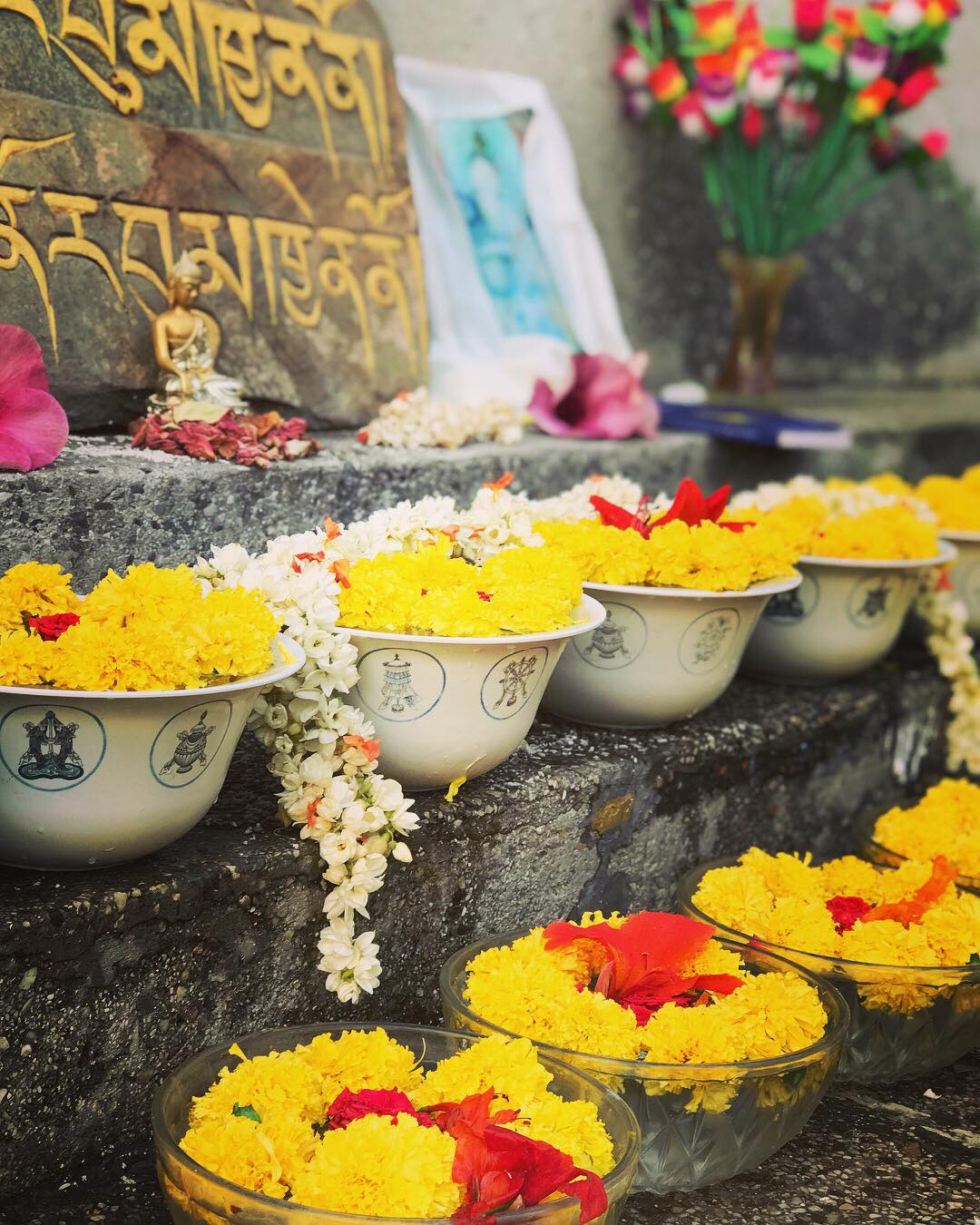 2018/4/26～5/5，印度聖地，照片5/29