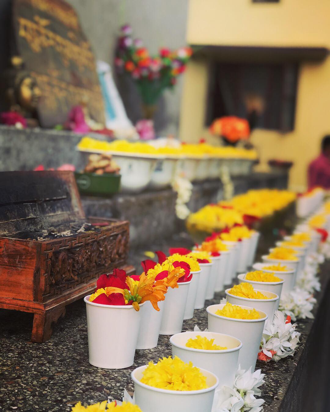 2018/4/26～5/5，印度聖地，照片6/29