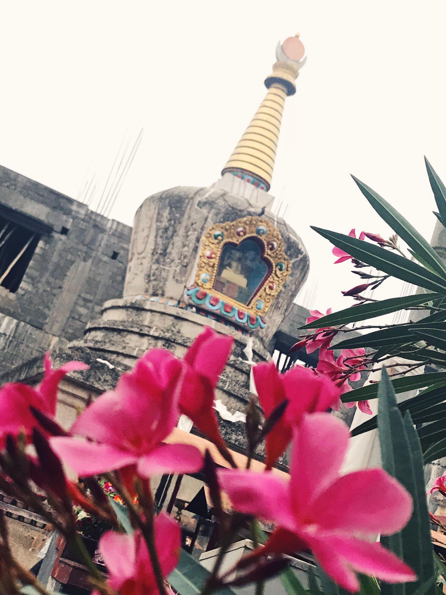 2018/4/26～5/5，印度聖地，照片7/29