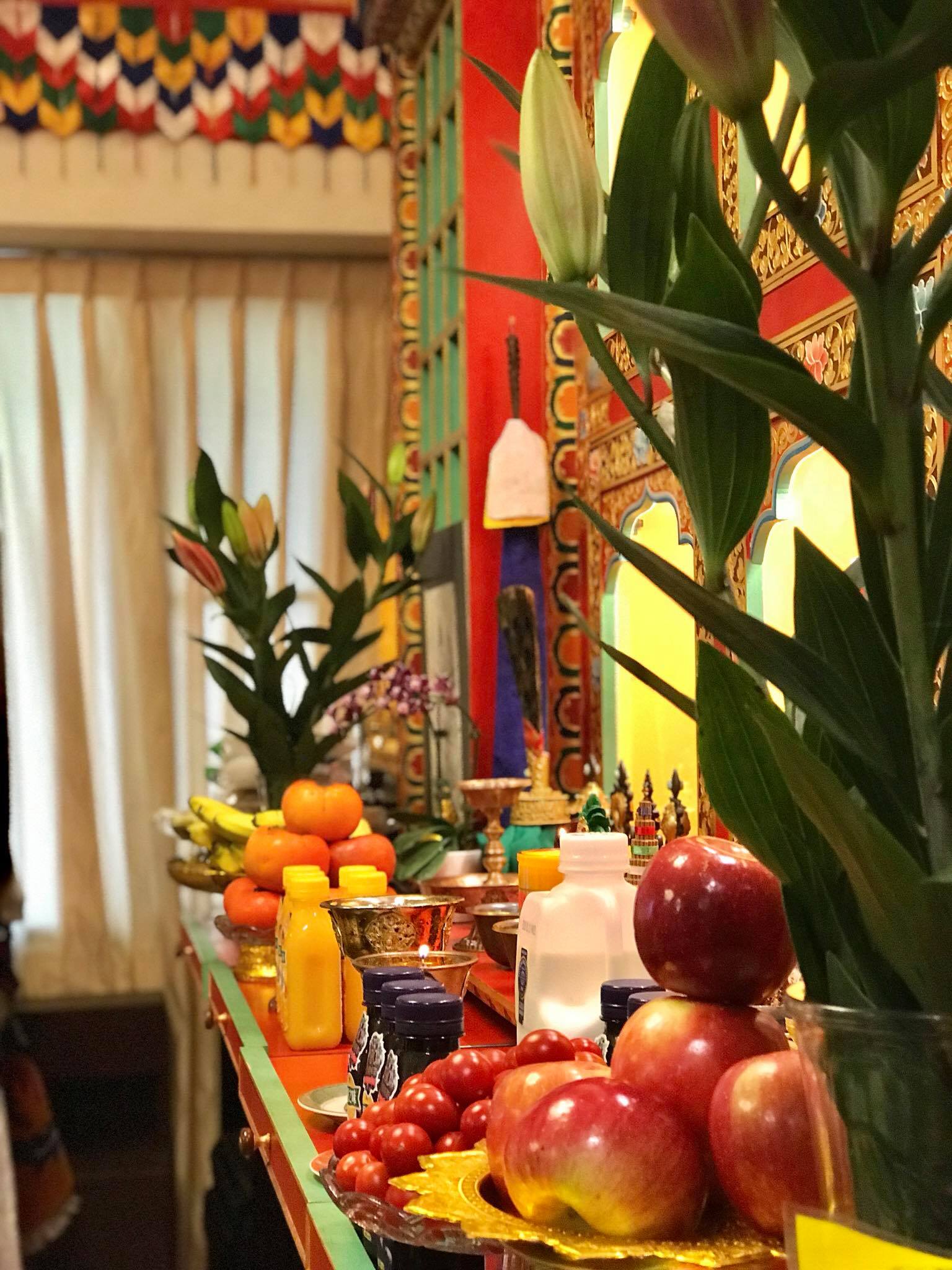 — 2019/1/5 法會記錄 —，照片5/31