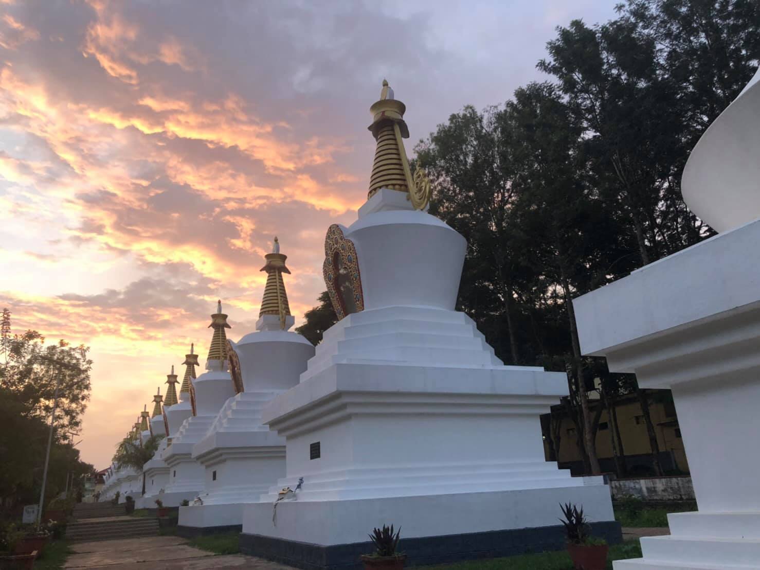 ◾️2019年印度南卓林寺 結夏安居護持參贊報名◾️，印度聖地，照片4/4