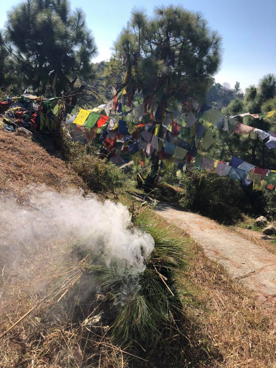 尊貴的堪布 索南多傑仁波切於北印度，印度聖地，照片9/14
