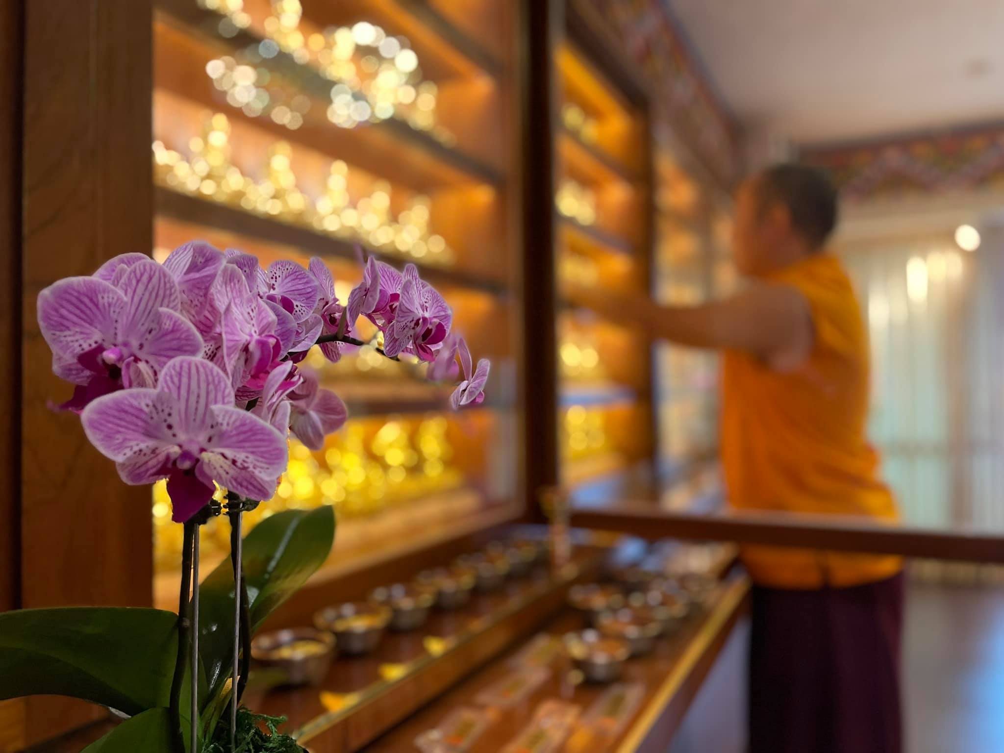 點燃2022永恆光明燈，2022年1月8日已截止星期六，台北中心，照片6/8