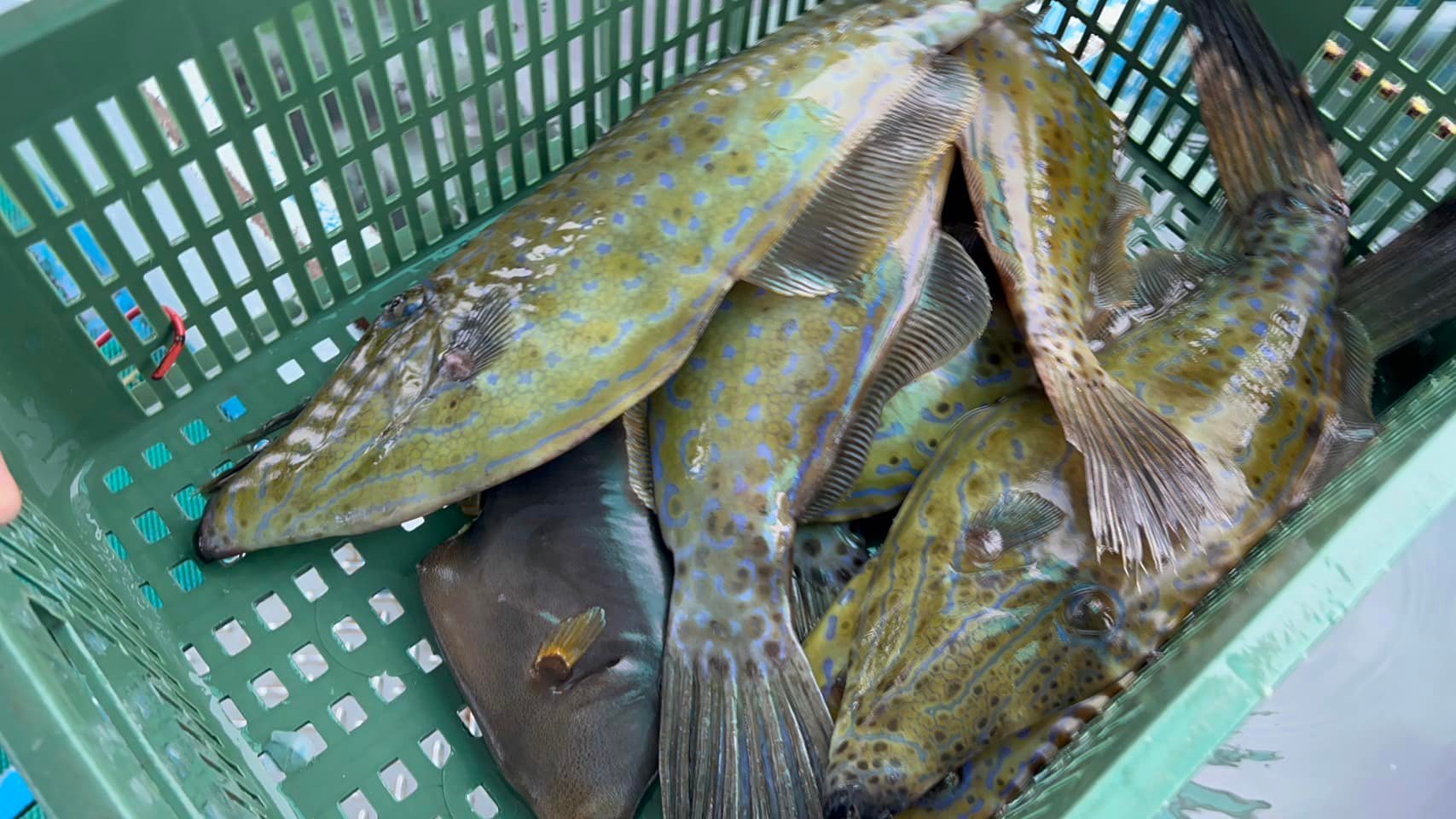 2023/4/15 利生法會 活動紀錄,照片16/27