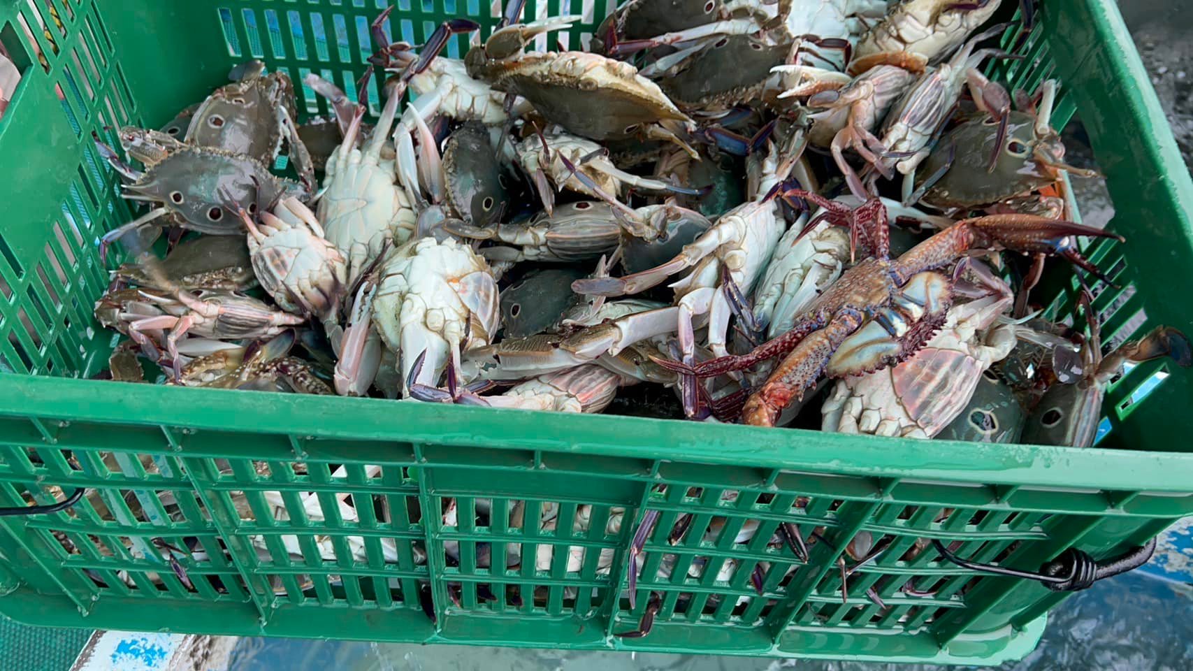 2023/4/15 利生法會 活動紀錄,照片26/27