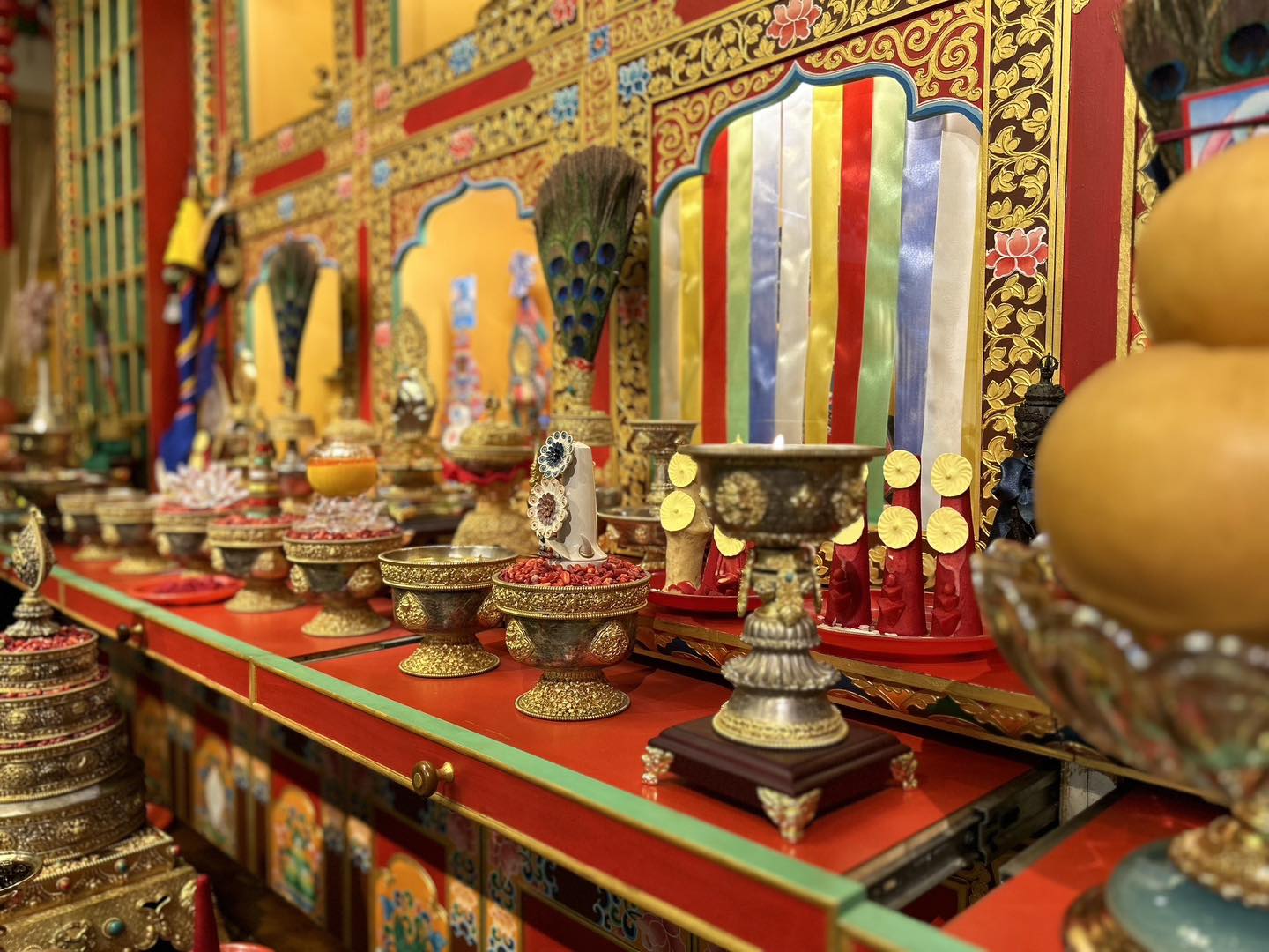 — 2023年11月22日 活動記錄 —，照片5/18