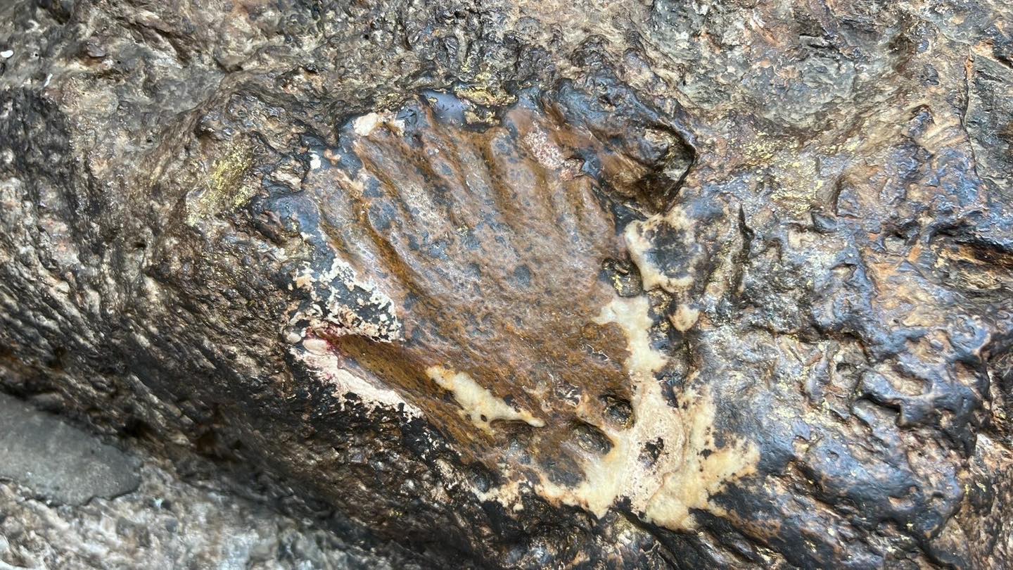 9/28-10/7 秋季尼泊爾朝聖之旅 記錄 —，照片16/67