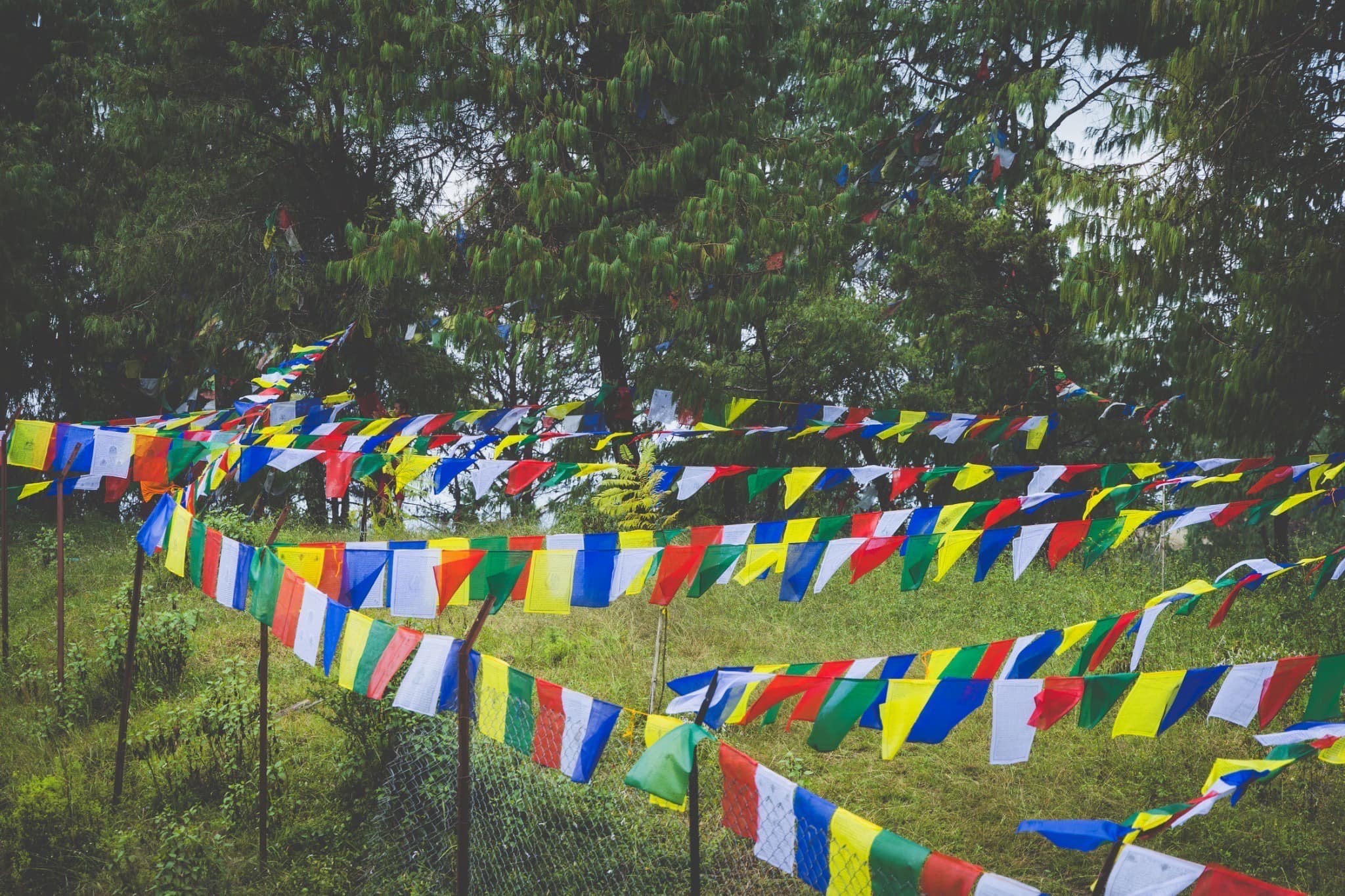 9/28-10/7 秋季尼泊爾朝聖之旅 記錄 —，照片54/67